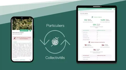SynergieCollectivitesParticuliers