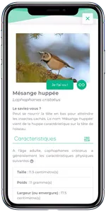 fauna_observation