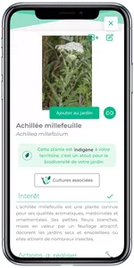 plante locale